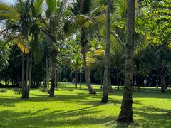 -中国科学院西双版纳热带植物园