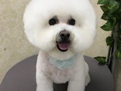 -乐琪宠物(青塔西路店)