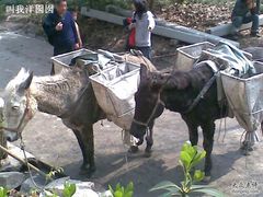 -杭州黄龙洞