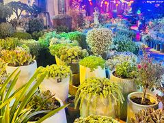 -山菌美食苑(振兴路店)