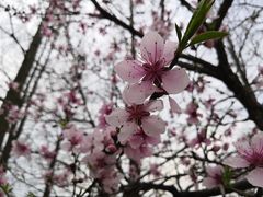 -滨湖塘西河公园