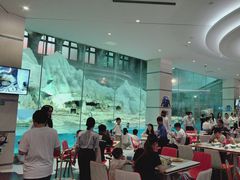-帝企鹅自助餐厅•儿童岛•真企鹅(长隆企鹅酒店)