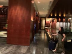 -新加坡乌节希尔顿酒店 (SG Clean)