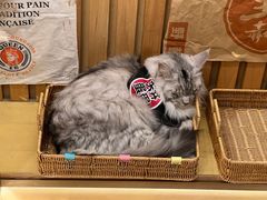 -天井·丑面包搭咖啡