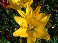 -长春公园(普阳街道)