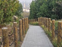 -白水寺森林公园