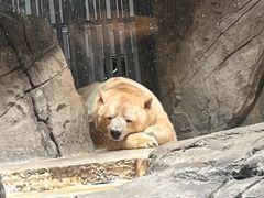 -海合安武汉极地海洋公园