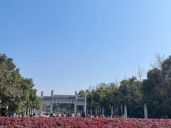 -武汉大学-樱园