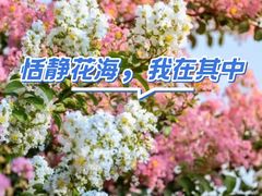 -杭州城北体育公园