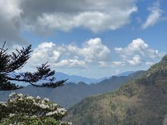 -朱雀国家森林公园