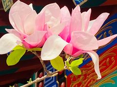 -丰台花园