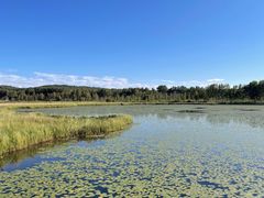 -塞罕坝国家级自然保护区