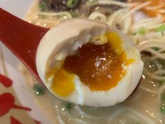 -豚王拉面(铜锣湾店 )