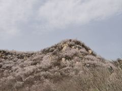 -龙泉峪长城