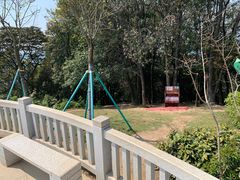 -黄埔油麻山森林公园