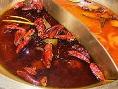 -小龙坎火锅(东汇城店)