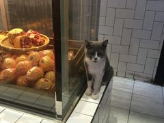 面包甜点陈列柜-MIKAKU(万达广场上海宝山店)