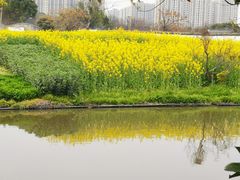 -南汇桃花村