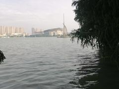 -高子水居