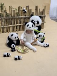 -马克叔叔的照相馆(东门店)