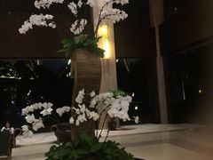 -三亚湾红树林度假世界(木棉酒店)