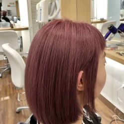 -THE LOG SALON 记录