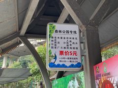 -西双版纳原始森林公园