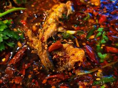 -胖大姐黄辣丁鱼庄(新津店)