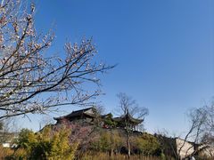 -广富林郊野公园