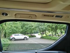 -铁山坪森林公园