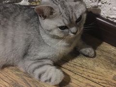 -不舍昼夜咖啡馆