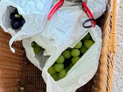 -马陆小张葡萄园农家乐