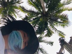 -东郊椰林
