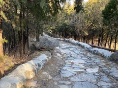 -阳台山自然风景区