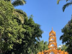 -云南勐巴娜西珍奇园