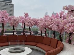 -城市露台景观餐厅(淮海路店)