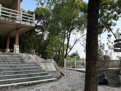 -大屏嶂森林公园