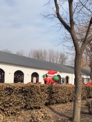 -优沃得自然教育农场·冰雪乐园·生日会·研学