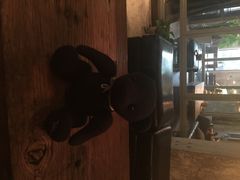 Maan&nbsp;Coffee(金桥店)-MAAN COFFEE(金桥店)