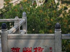 -赵州桥景区