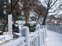 -沂蒙山旅游区云蒙景区(蒙山国家森林公园)