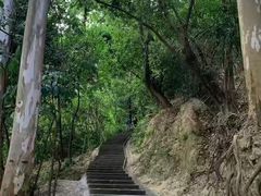 -火炉山森林公园