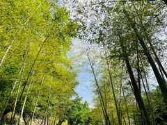 -东方艺术博物馆