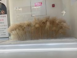 -佳妍惠美科技美肤美体中心