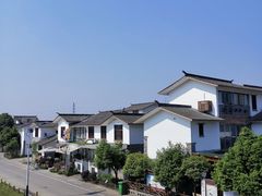 -桤木河湿地公园