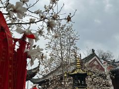 -长春观