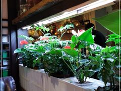 -望京一号·重庆江湖菜(工体店)