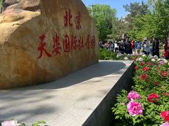 -太阳宫公园