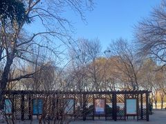 -莲花池公园