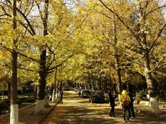 iphone_upload_pic-青岛第三海水浴场